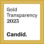 CAIRO-gold-transparency-award.webp